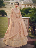 Myra Blush Net Heavy Embroidered Designer Lehenga | Grocsy