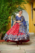 Lehenga Mart Gorgeous Lehenga Choli For Wedding-Red | Grocsy