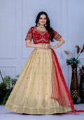 Lehenga Mart Designer Wedding Lehenga choli for Women - red | Grocsy