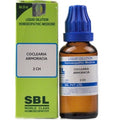 SBL Homeopathy Coclearia Armoracia Dilution | Grocsy