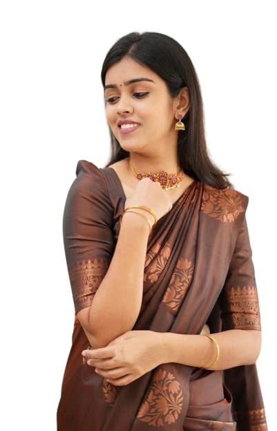 Vamika Brown Banarasi Jacquard Weaving Saree | Grocsy