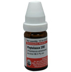 Dr. Willmar Schwabe Germany Phytolacca Dilution | Grocsy