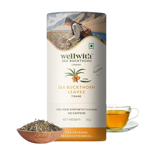 Wellwith Sea Buckthorn Raw Leaves Tea - Himalayan Herbal Leaf Tea | Grocsy
