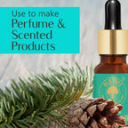 Old Tree 100% Pure Pine Needles Essential Oil | Grocsy