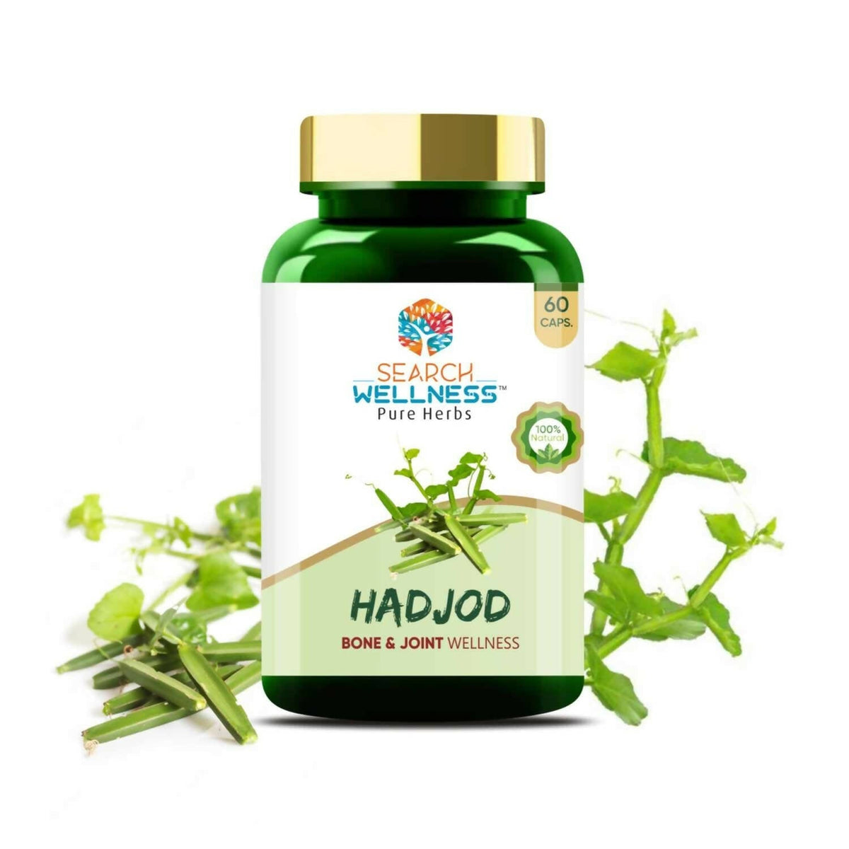 Search Wellness Hadjod Capsules | Grocsy