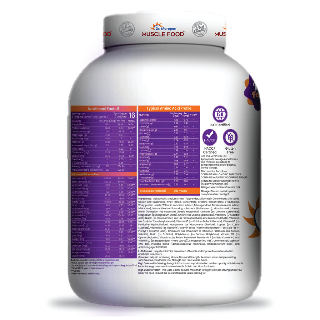 Dr Morpen Mass Gainer Butter Scotch | Grocsy