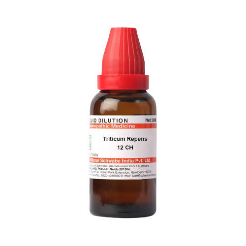 Dr. Willmar Schwabe India Triticum Repens Dilution | Grocsy