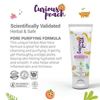 Curious Peach Pore Purifying Herbal Face Wash | Grocsy