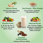 Kapiva Ayurveda Vegan Protein Post-Workout Recovery Cookies & Cream | Grocsy
