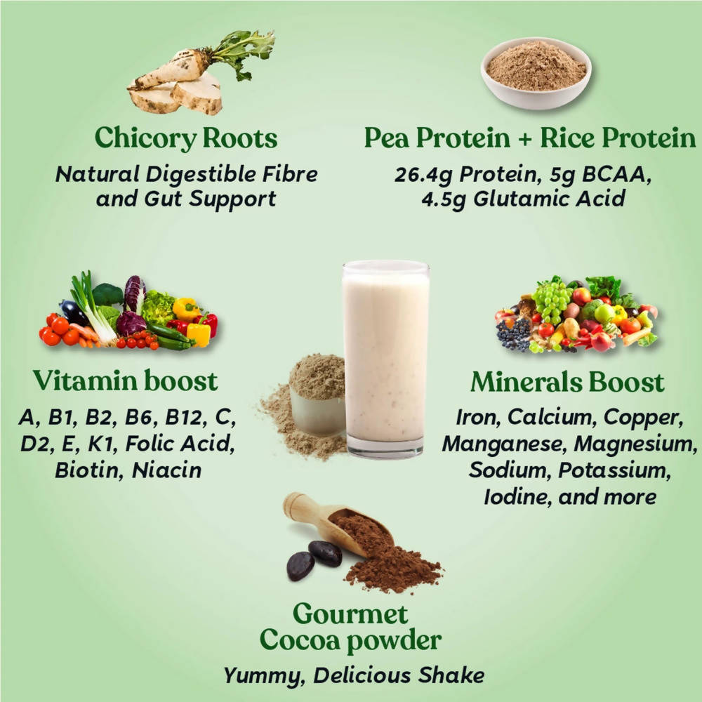 Kapiva Ayurveda Vegan Protein Post-Workout Recovery Cookies & Cream | Grocsy