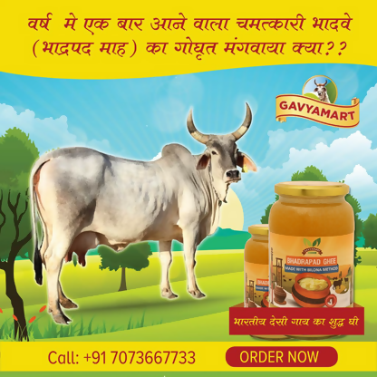 Gavyamart Bhadwa Ghee (Bhadrapad) | Grocsy