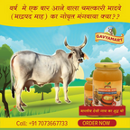 Gavyamart Bhadwa Ghee (Bhadrapad) | Grocsy