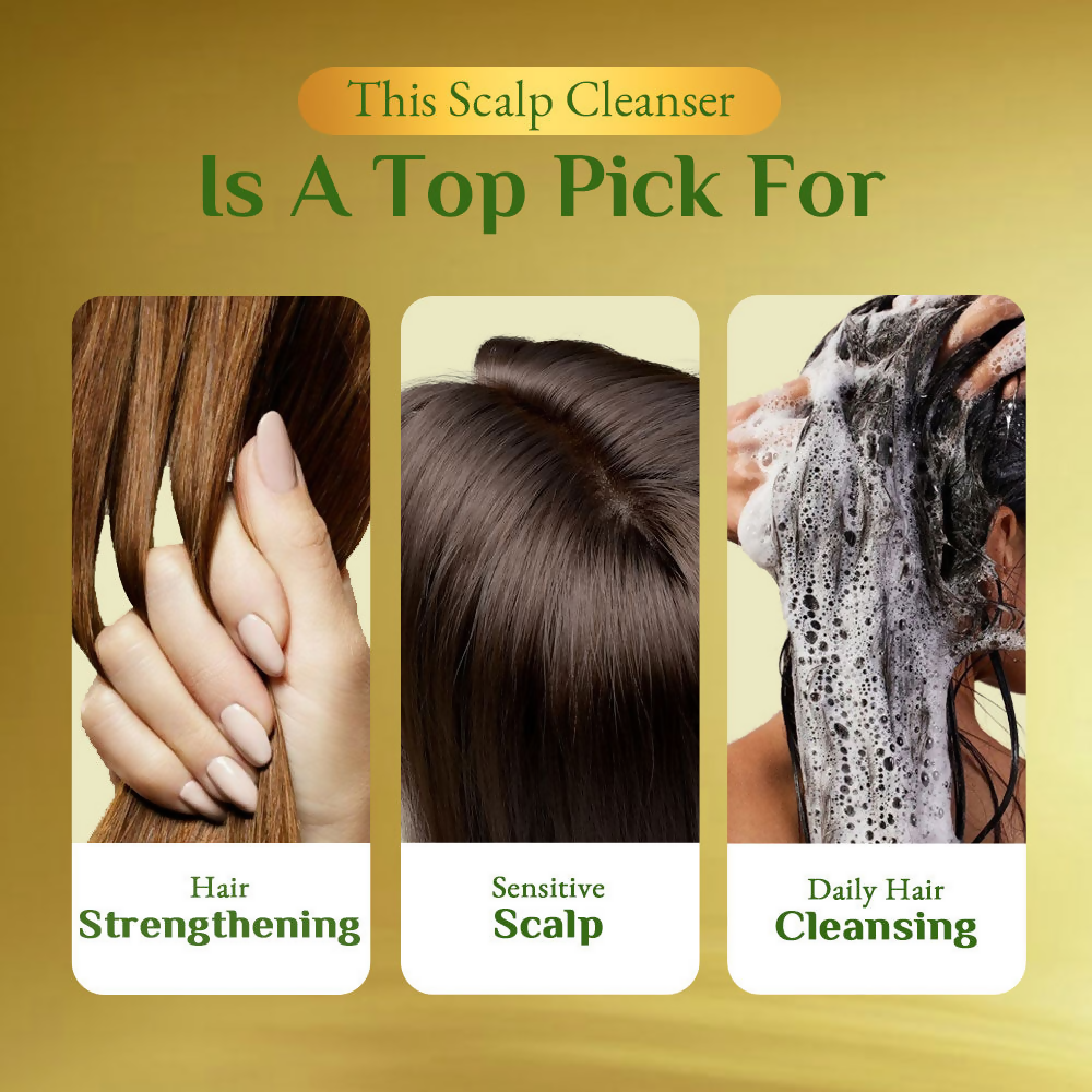 Richfeel Scalp Cleanser - Dandruff Control Hair Fall | Grocsy