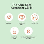 Foxtale Acne Spot Corrector Gel - Reduces Pimples Overnight and Prevents Acne Scars | Grocsy