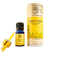 Divine Aroma 100% Pure Ylang Ylang Essential Oil | Grocsy