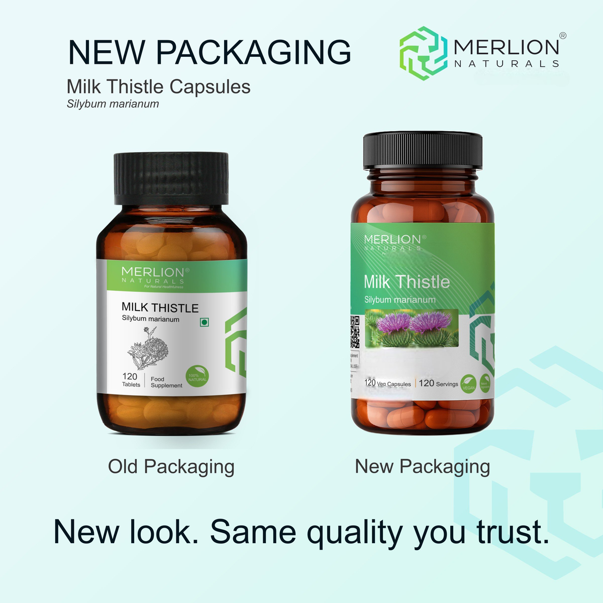 Merlion Naturals Milk Thistle Capsules | Grocsy