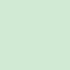Confect Mint Green Fondant | Edible Nutritional Sugarpaste | Grocsy
