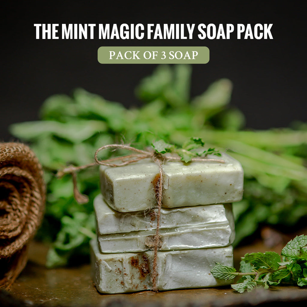 Haappyherbs The Mint Magic Family Pack Soap (3 Nos) | Grocsy