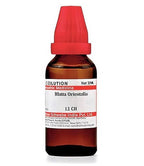 Dr. Willmar Schwabe India Blatta Orientalis Dilution | Grocsy
