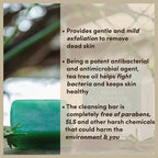 The Earth Reserve French Green Clay & Tea Tree Oil Soap | Grocsy
