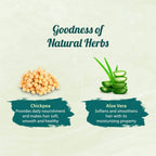 Himalaya Herbals Dryness Defense Protein Shampoo | Grocsy