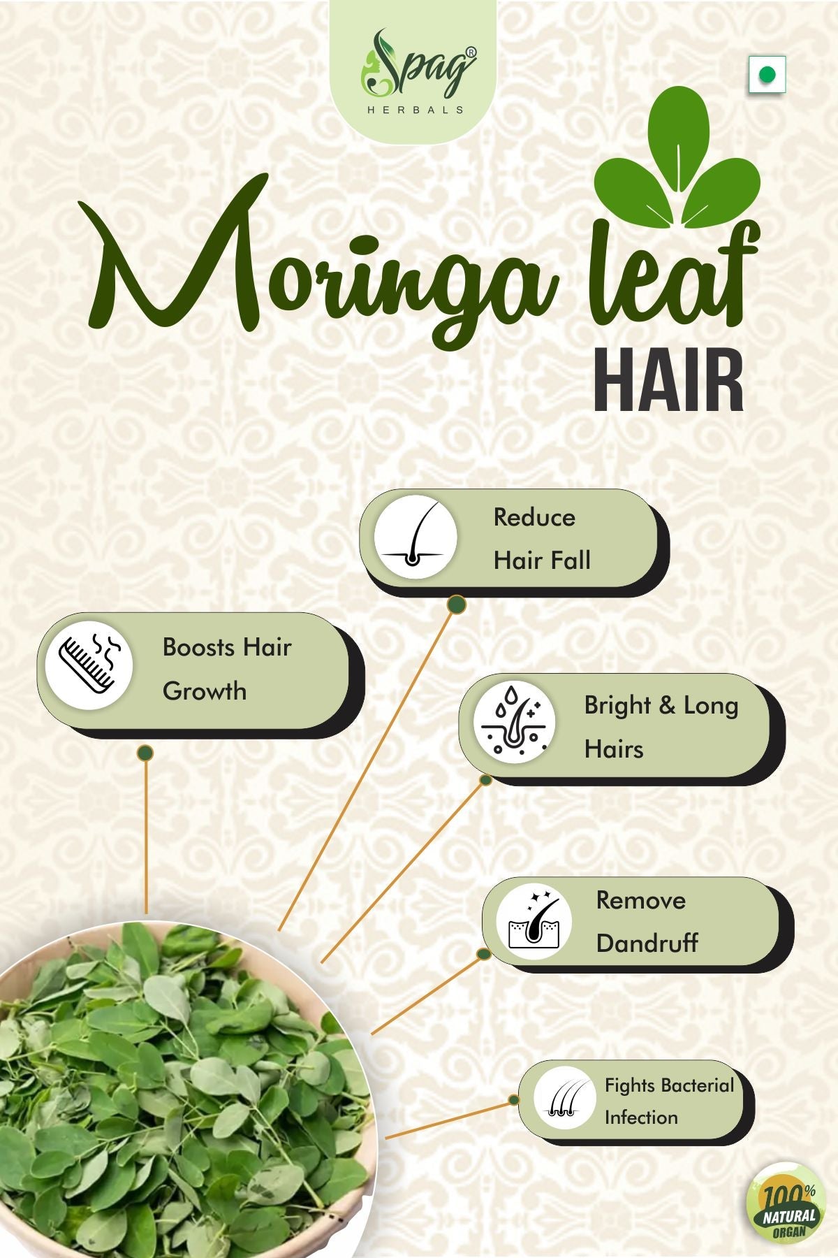 Spag Herbals Premium Moringa Leaf Powder | Grocsy