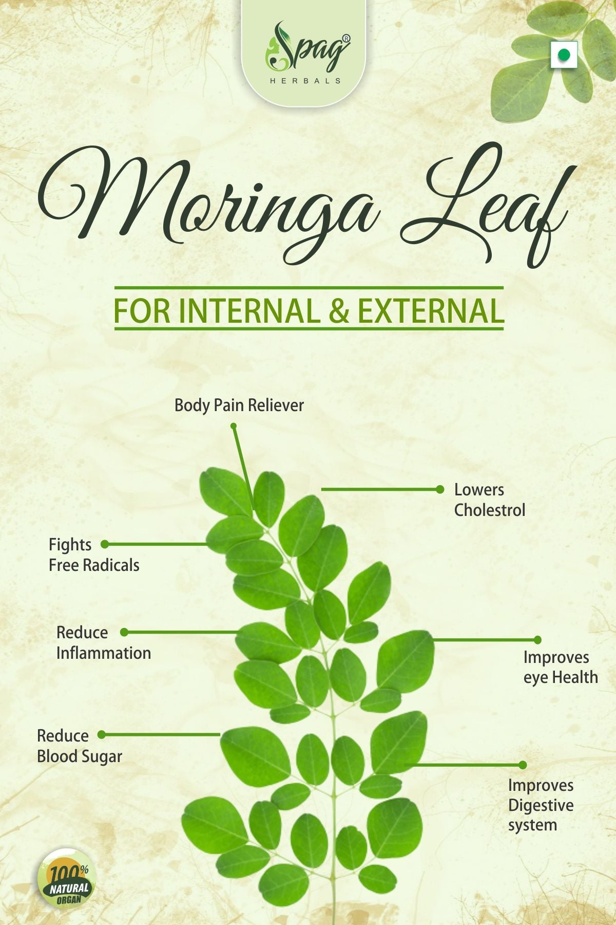Spag Herbals Premium Moringa Leaf Powder | Grocsy