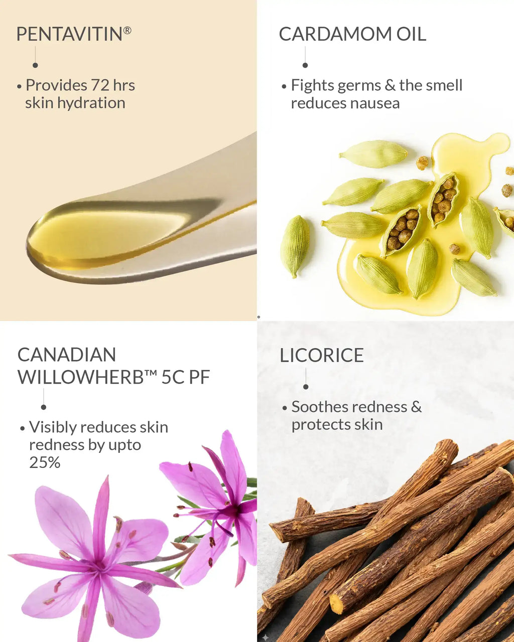 AreoVeda Morning Sickness Defense | Grocsy