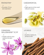AreoVeda Morning Sickness Defense | Grocsy