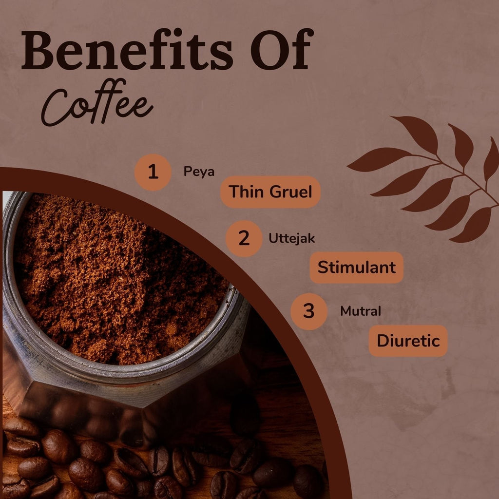 Songara Coffee (Coffea Arabica) | Grocsy