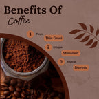 Songara Coffee (Coffea Arabica) | Grocsy