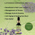 Songara Lavender Essential Oil | Grocsy