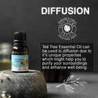 Soulflower Tea Tree Essential Oil | Grocsy