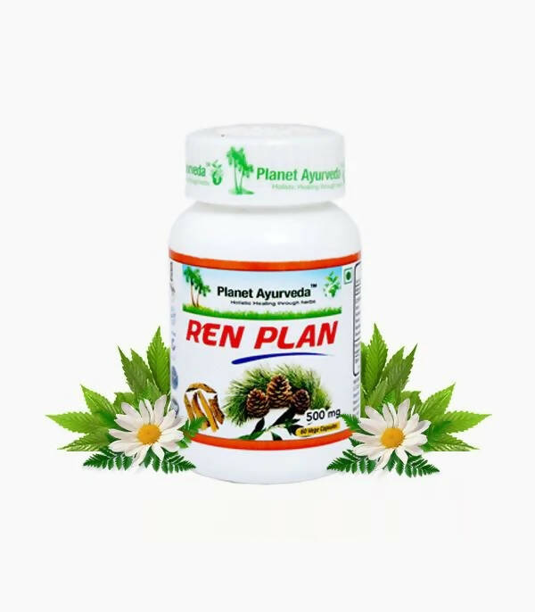Planet Ayurveda Ren Plan Capsules | Grocsy