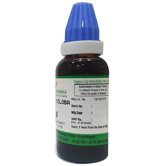 Hering Pharma Ginkgo Biloba Mother Tincture Q | Grocsy