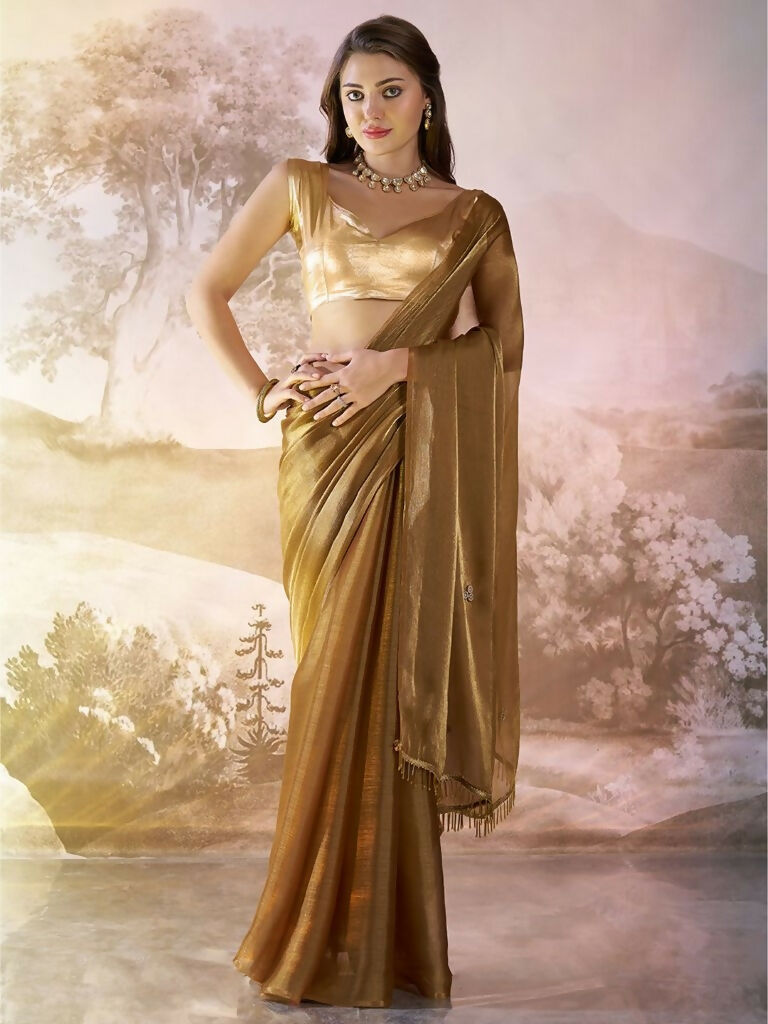 Brown Burberry Organza Solid Fancy Designer Saree - Nafisa | Grocsy