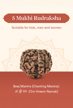 Pujashree Panchmukhi Rudraksh Single Bead – Sacred Five Mukhi Rudraksha for Protection & Peace | Grocsy