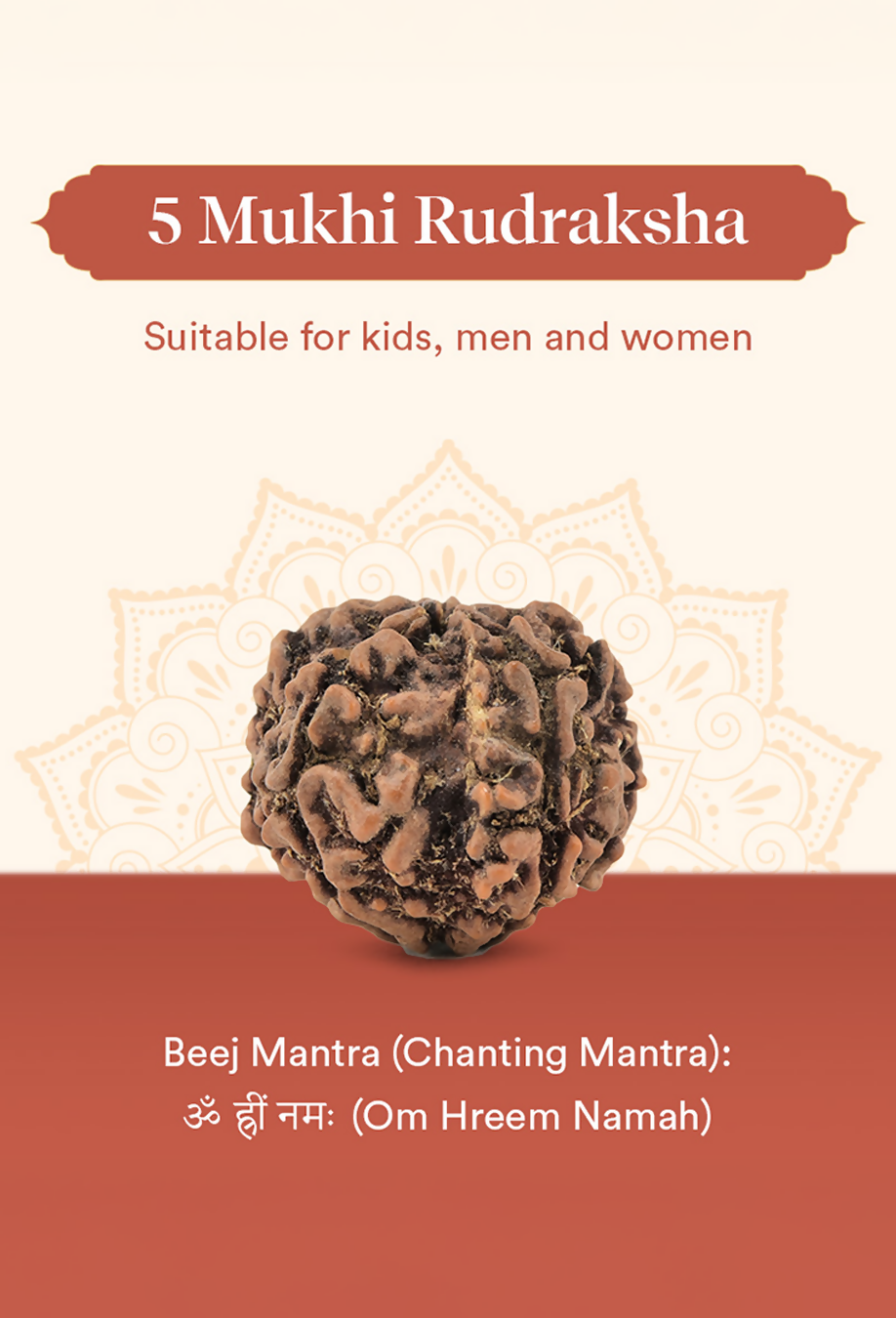 Pujashree Panchmukhi Rudraksh Single Bead – Sacred Five Mukhi Rudraksha for Protection & Peace | Grocsy