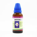 Father Muller Cantharis Mother Tincture Q | Grocsy