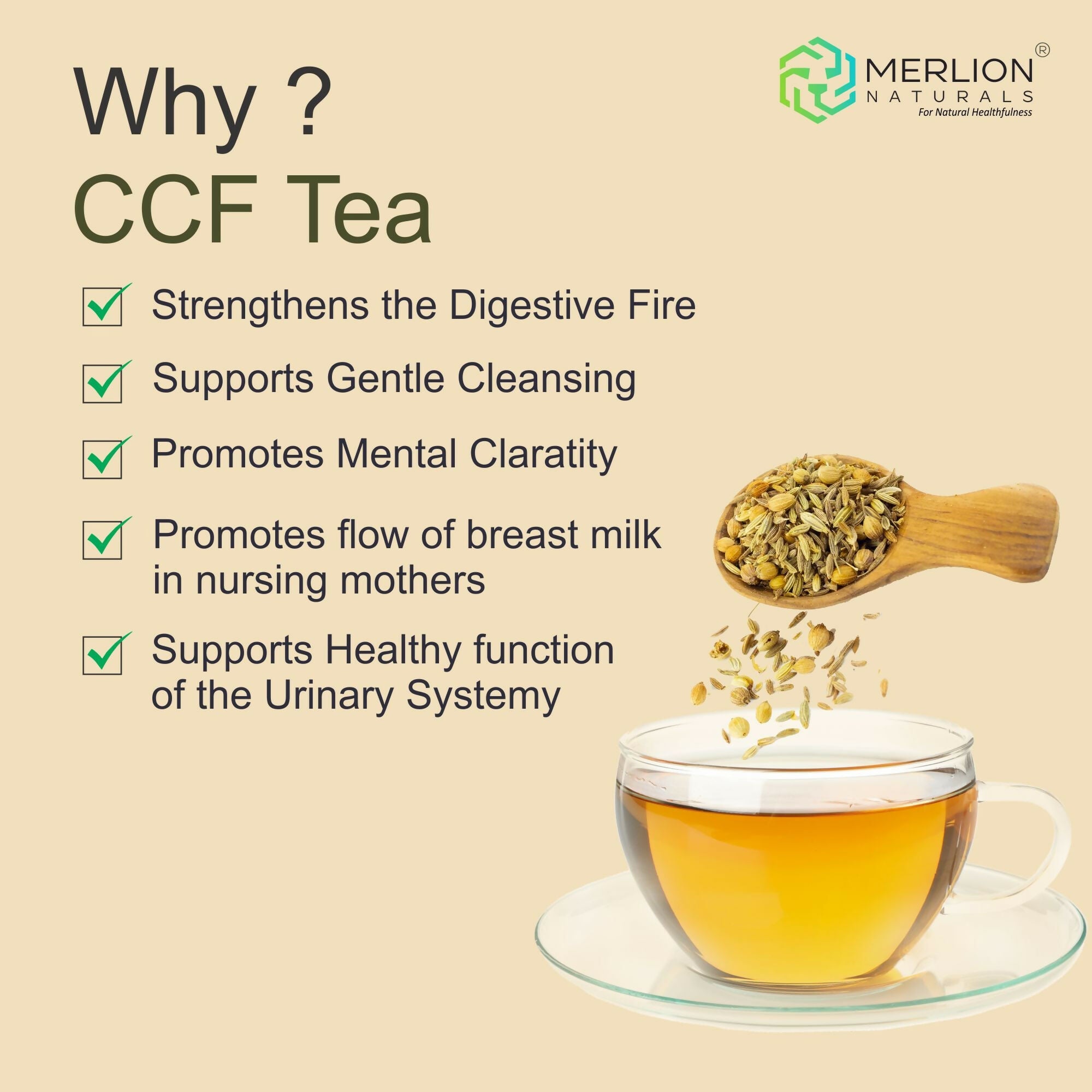 Merlion Naturals CCF Tea (Cumin, Coriander and Fennel Tea Bag) | Grocsy