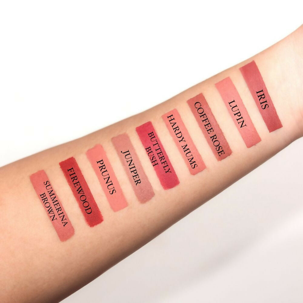 Love Earth Lip Crayon Non-Transfer Lipstick 1.O And Sharpener | Grocsy