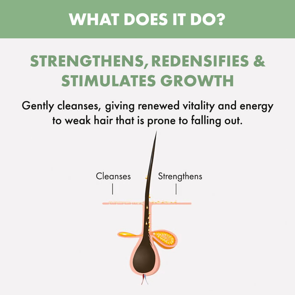 Alfaparf Milano Scalp Renew Energizing Shampoo For Hair Thinning | Grocsy