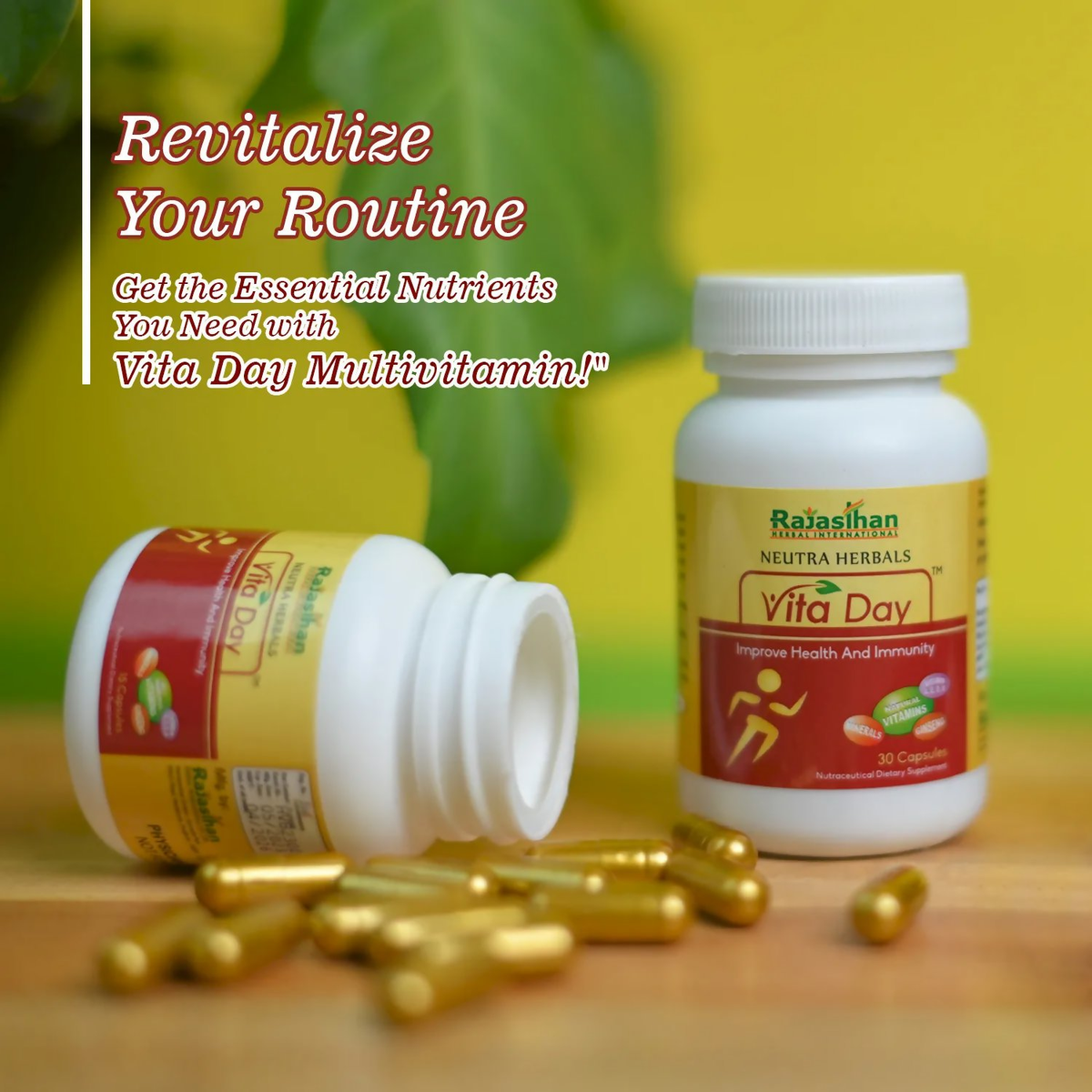Rajasthan Herbals Neutra Herbals Vita Day Capsules | Grocsy
