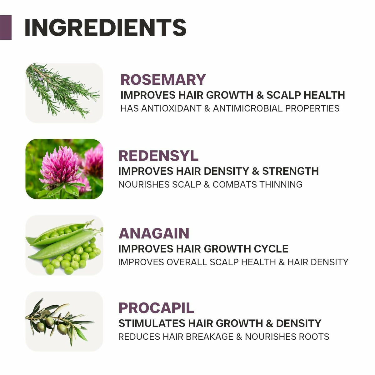 Dermatouch Rosemary Water Hair Growth Spray | Grocsy