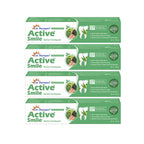 Dr. Morepen Active Smile Herbal Toothpaste with Neem, Clove & Menthol | Grocsy