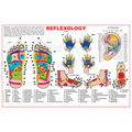 Dreamland Publications Educational Chart for Kids - Reflexology | Grocsy