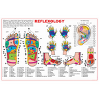 Dreamland Publications Educational Chart for Kids - Reflexology | Grocsy
