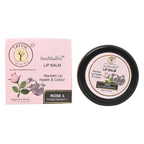 Tatvik Ayurveda Swamadhu Lip Balm & Tint (Rose & Pomegranate) | Grocsy