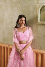 Eilara Pink Net Lehenga Choli With Embroidered, Sequins And Thread Work For Women | Grocsy