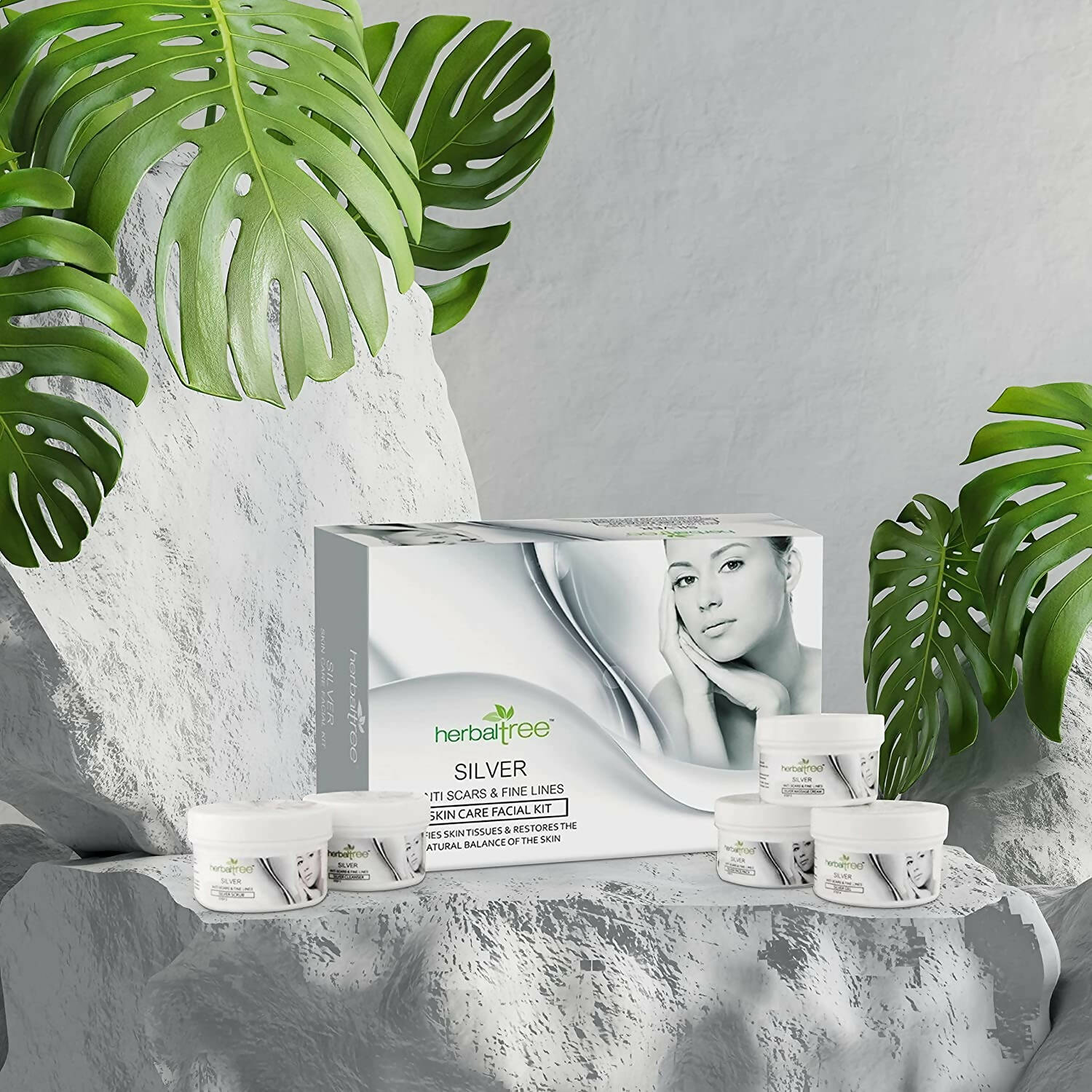Herbal Tree Silver Facial Kit | Grocsy